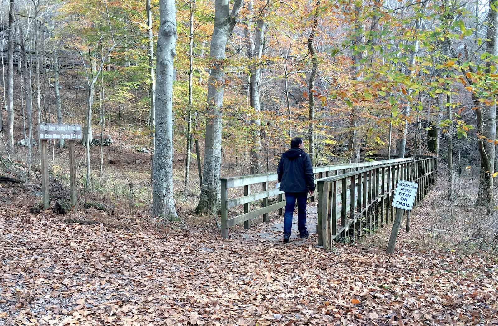 Boardwalk to River Styx Spring