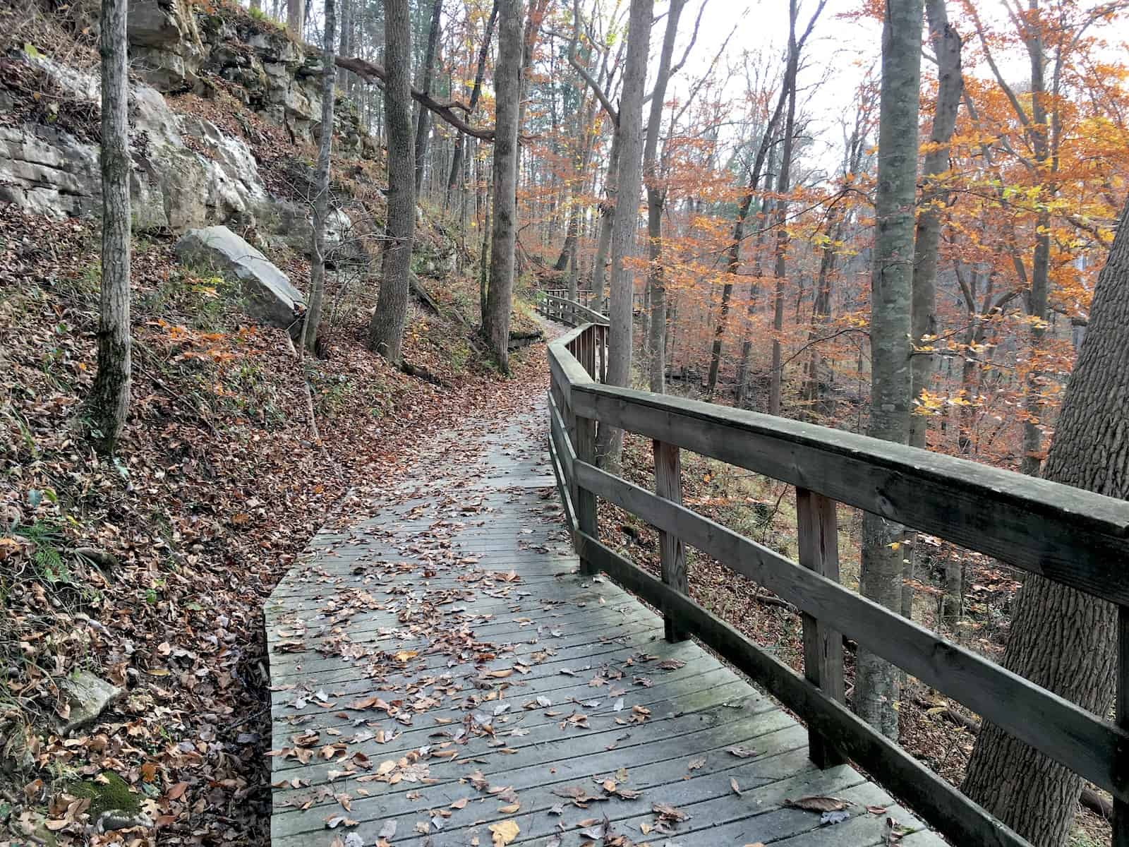 Sunset Point Trail at Mammoth Cave National Park in Kentucky