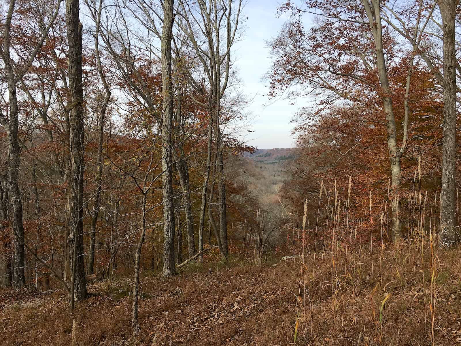 Sunset Point at Mammoth Cave National Park in Kentucky