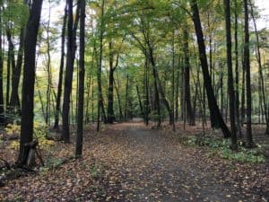 East Cohasset Trail at Mill Creek Park in Youngstown, Ohio