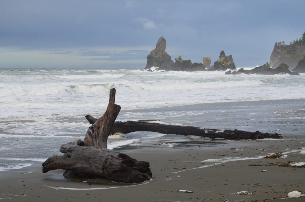 Shi Shi Beach, Olympic National Park, Washington