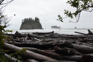 Logs on the beach at Second Beach in Olympic National Park, Washington