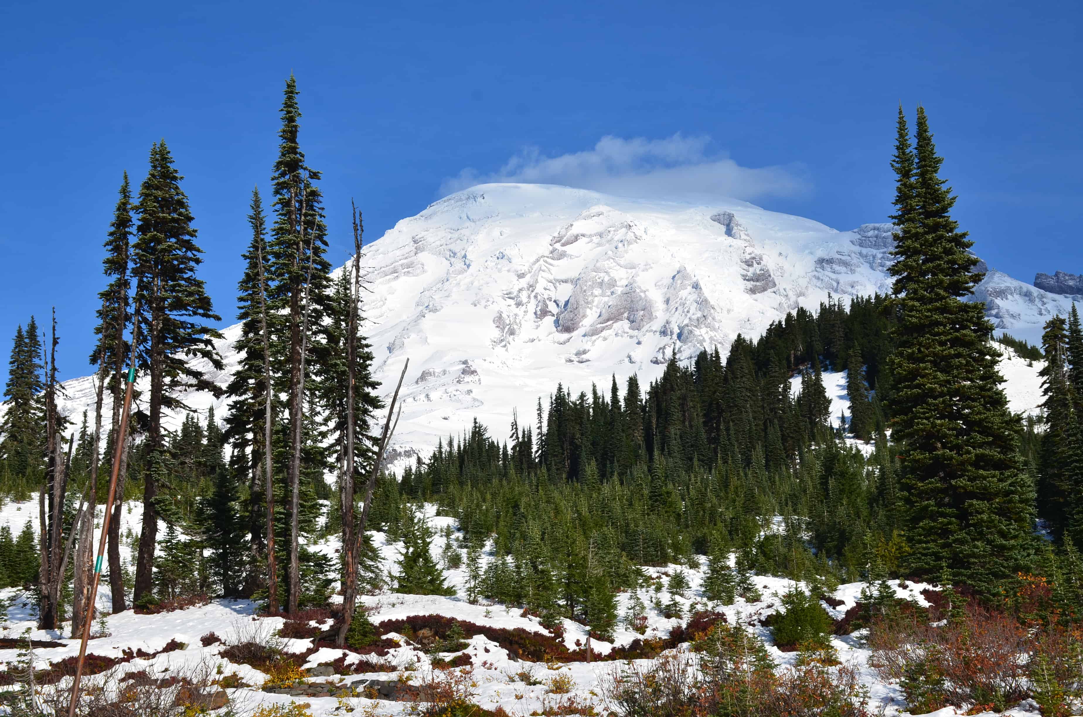 Mount Rainier from Paradise at Mount Rainier National Park in Washington