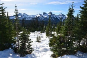 Tatoosh Range from the trail at Paradise, Mount Rainier National Park, Washington