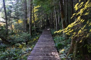 Boardwalk on Trail of the Shadows in Mount Rainier National Park, Washington