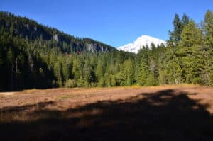Longmire Meadow on Trail of the Shadows in Mount Rainier National Park, Washington