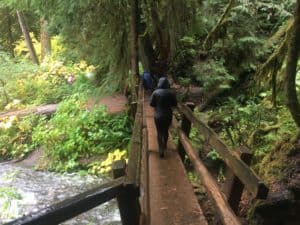 A bridge on the trail, Marymere Falls in Olympic National Park, Washington