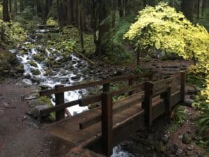 Bridge and creek on the Sol Duc Trail in Sol Duc Valley, Olympic National Park, Washington