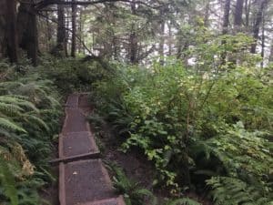 Trail to Second Beach in Olympic National Park, Washington