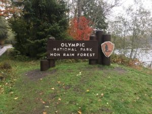 Hoh Rain Forest sign in Olympic National Park, Washington
