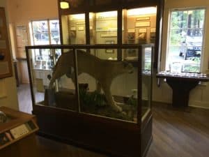 Longmire Museum at Longmire Historic District in Mount Rainier National Park, Washington