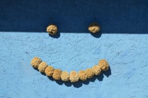Sponge smiley face in Tarpon Springs, Florida
