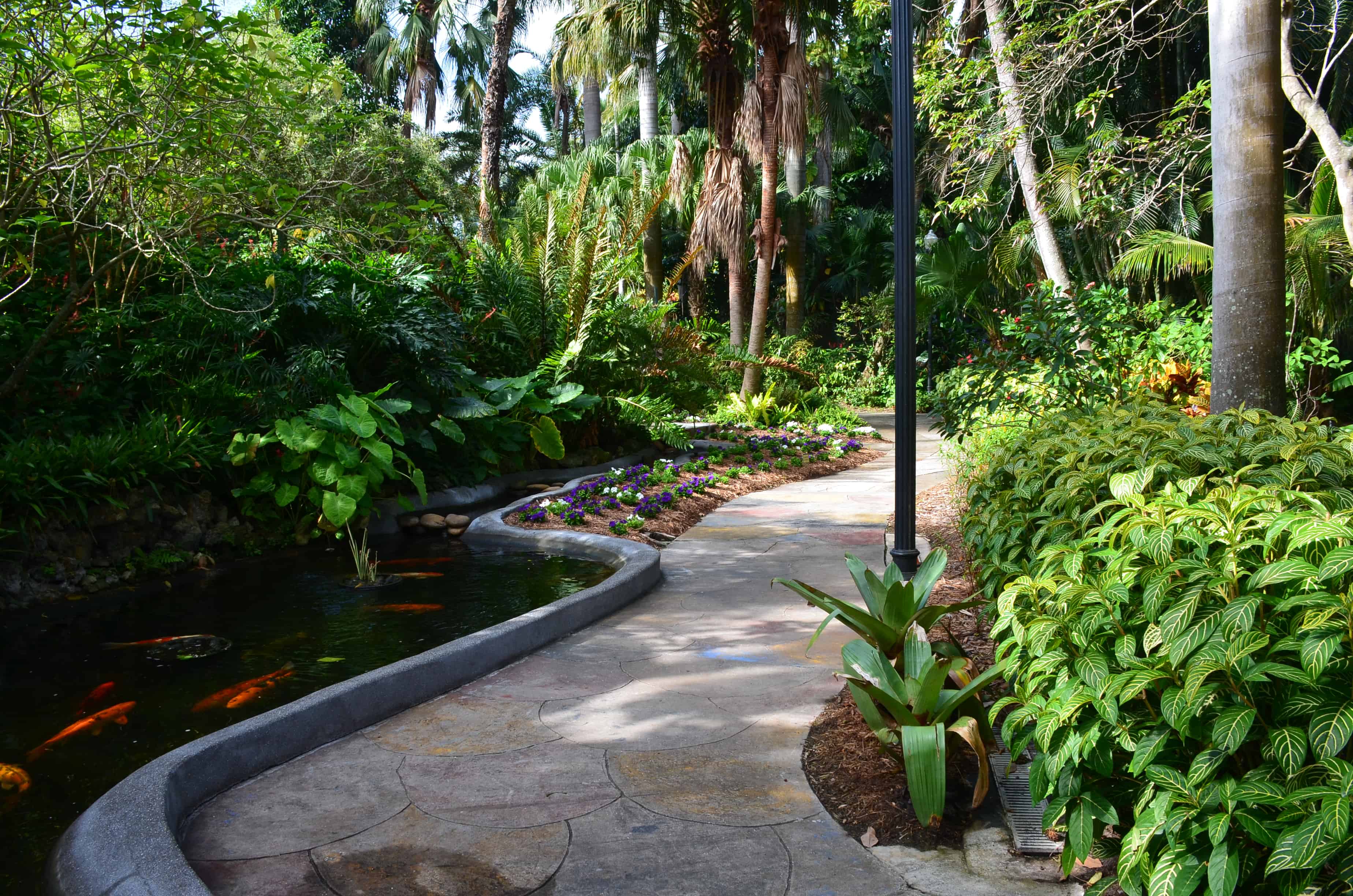 A path through the Sunken Gardens in St. Petersburg, Florida