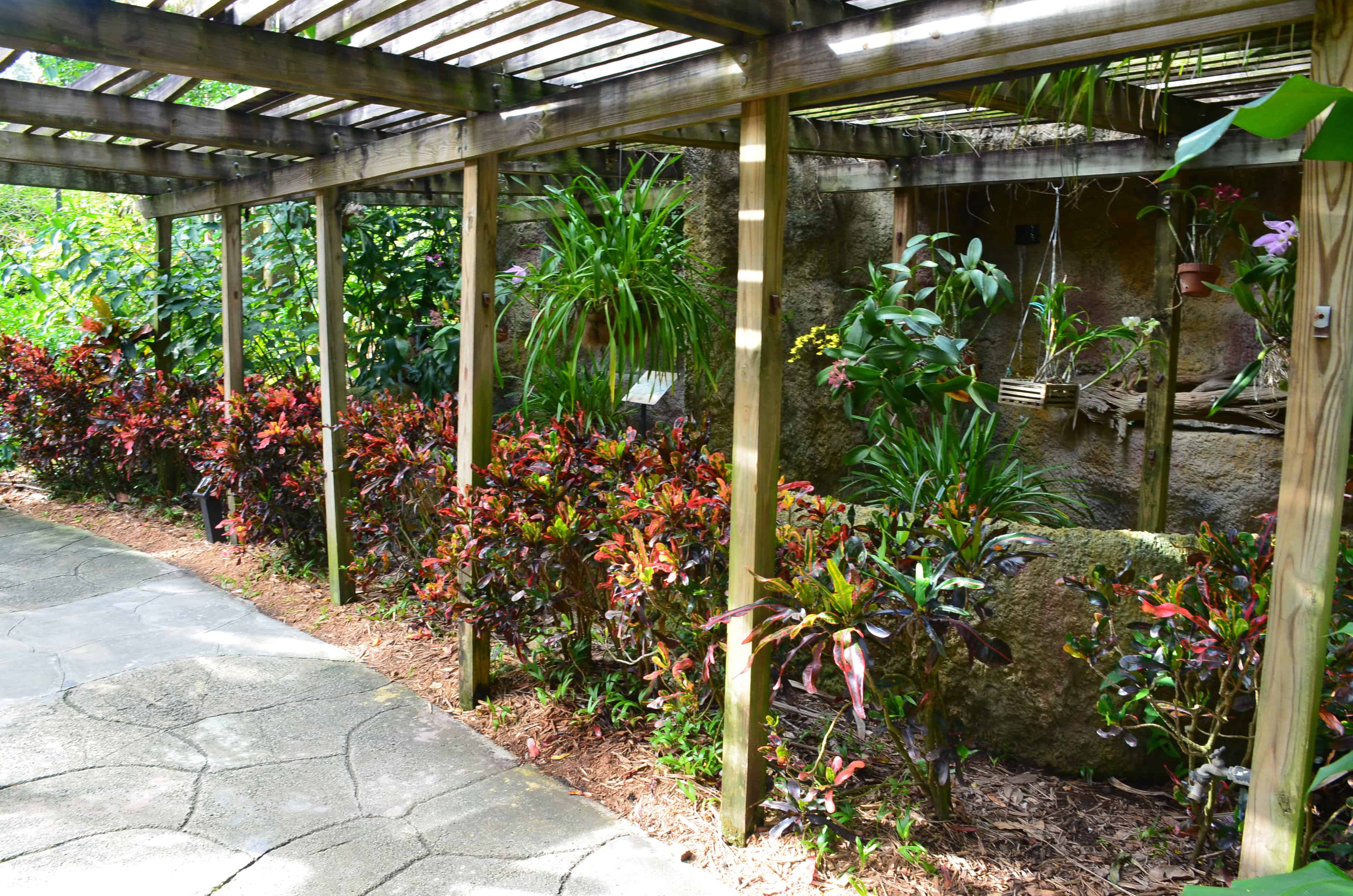 Hanging plants at the Sunken Gardens in St. Petersburg, Florida