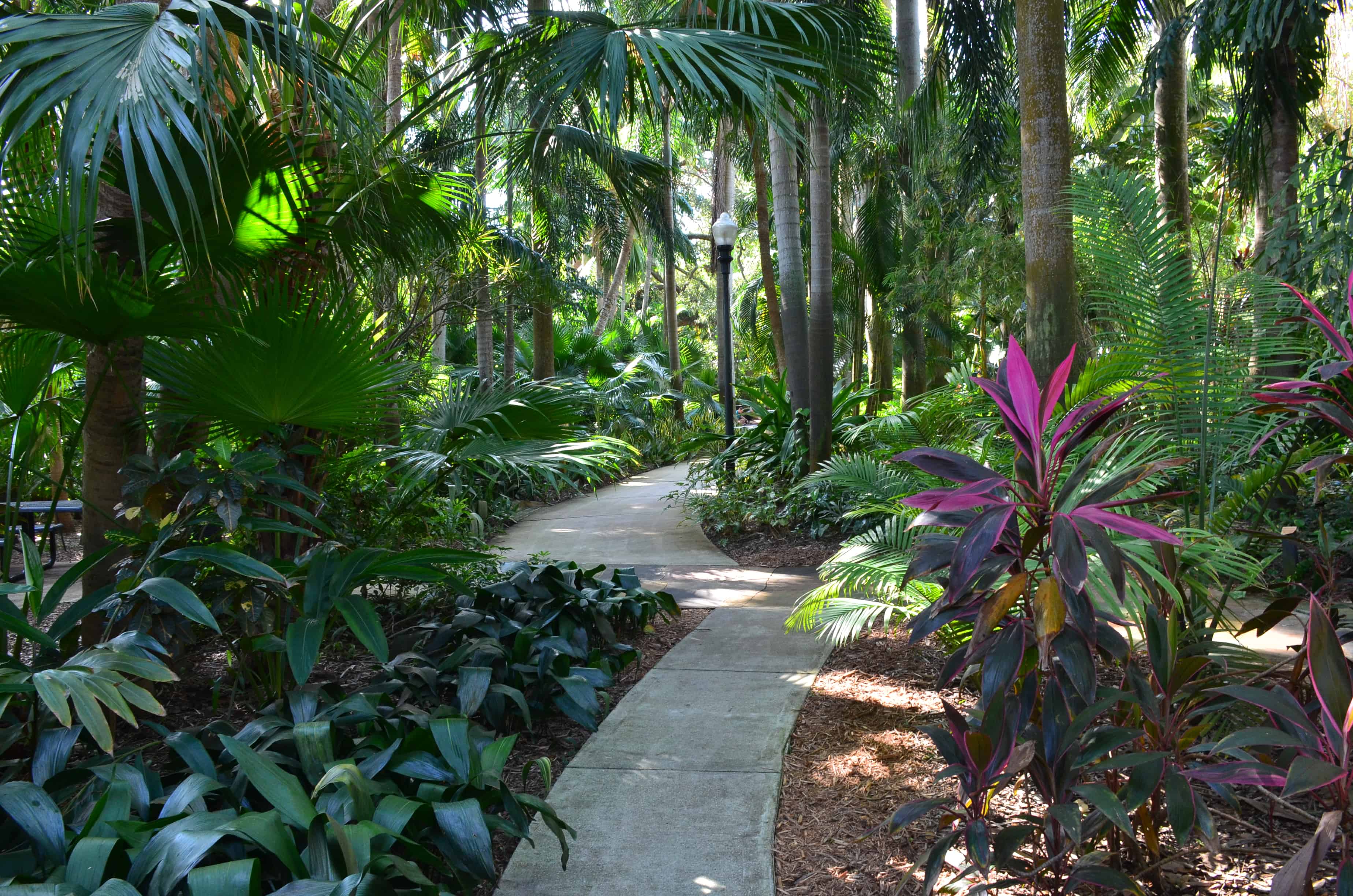 A path through the Sunken Gardens in St. Petersburg, Florida