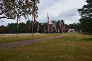 Avenue of Flags at Andersonville National Cemetery in Georgia