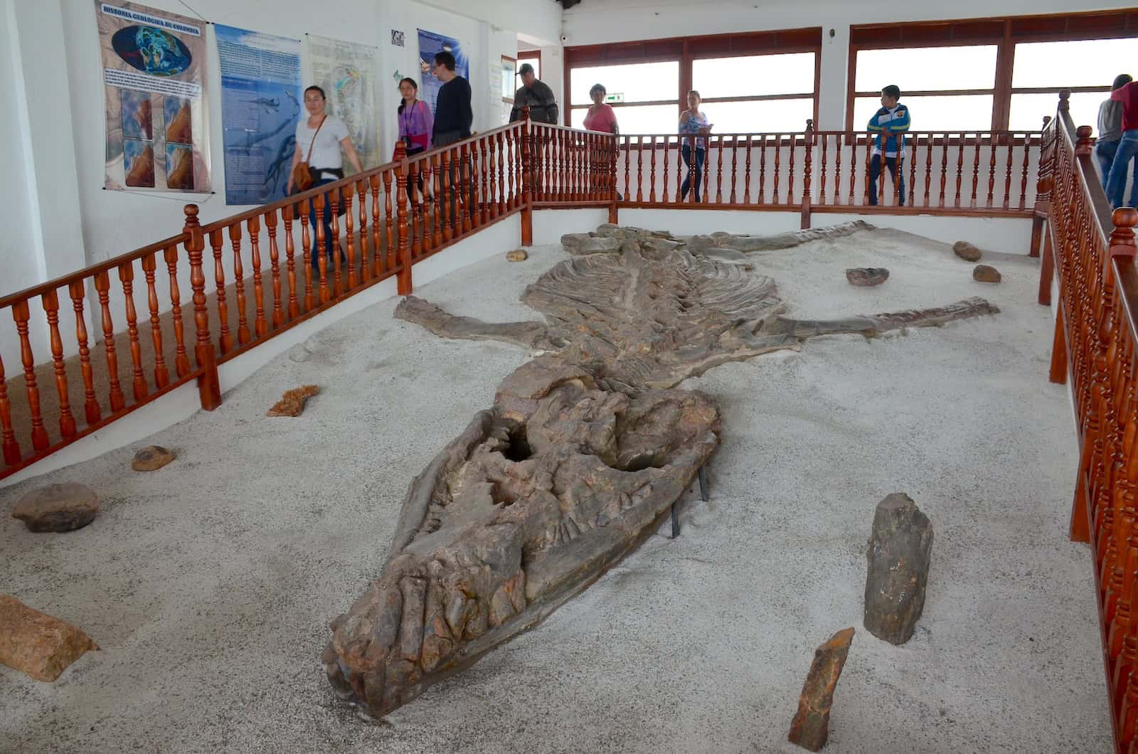 Kronosaurus at the Fossil Museum near Villa de Leyva, Boyacá, Colombia