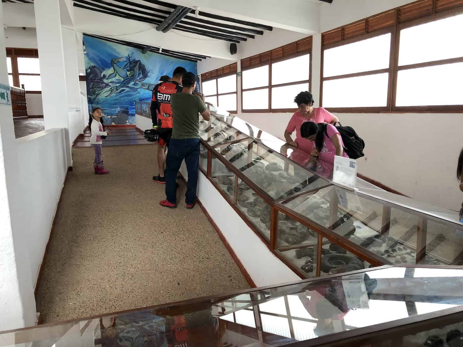 Fossil Museum