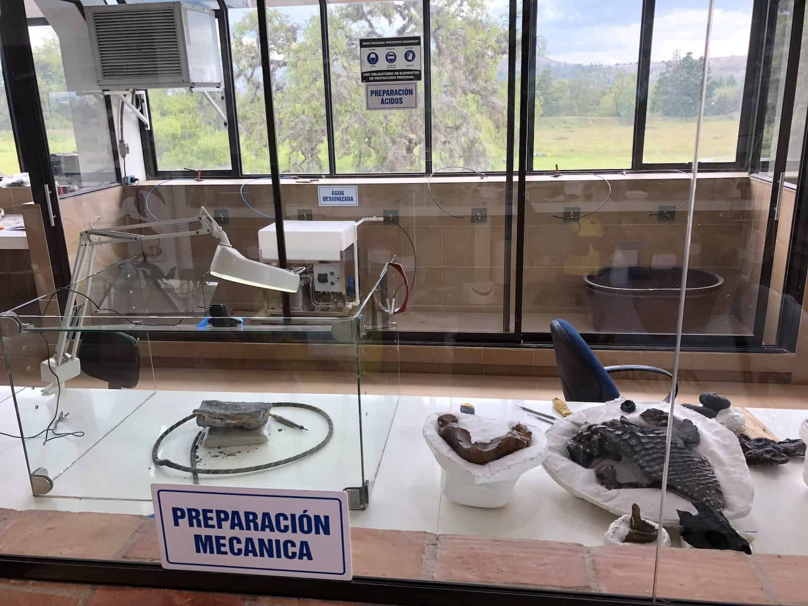 Preparation area of the fossil lab at the Paleontological Research Center