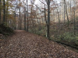 River Styx Spring Trail at Mammoth Cave National Park in Kentucky