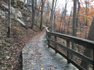 Sunset Point Trail at Mammoth Cave National Park in Kentucky