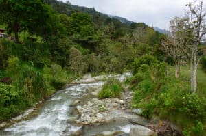 Río Lejos in Pijao, Quindío, Colombia