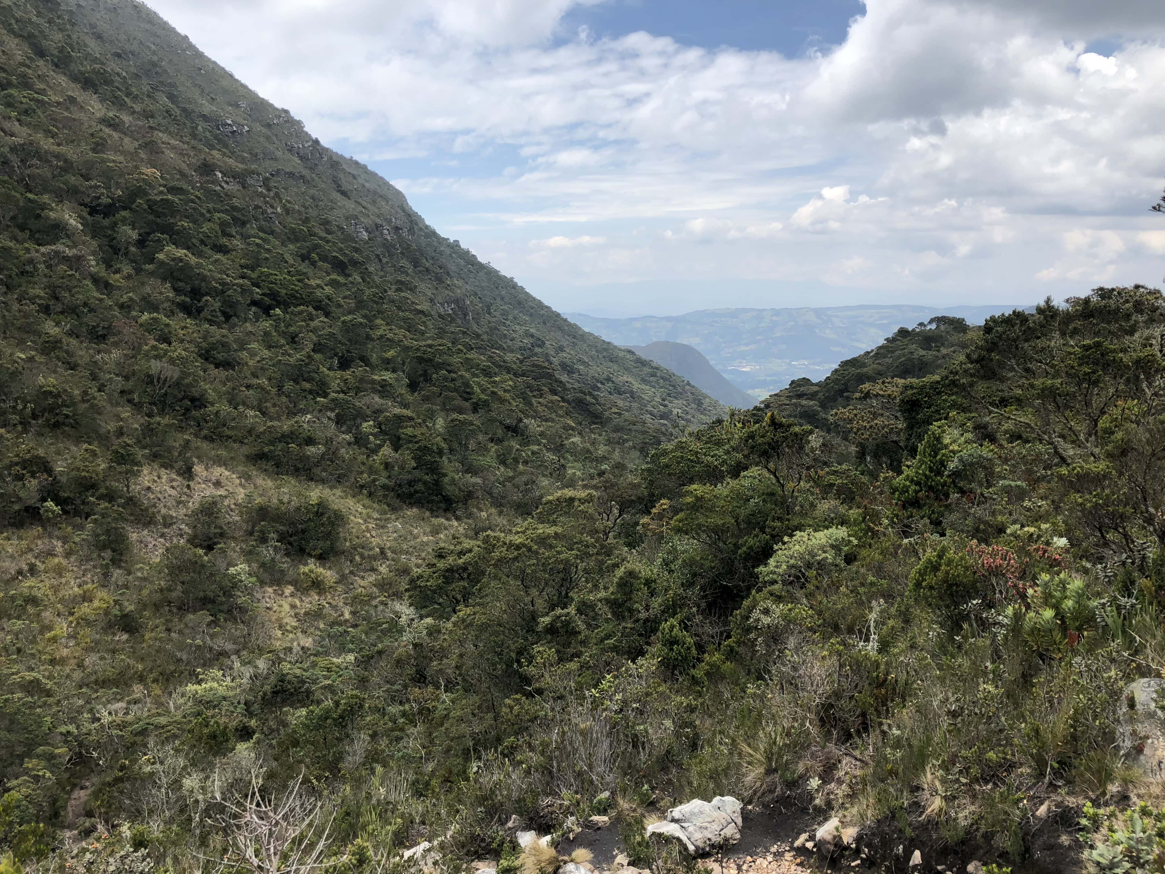 Views at Iguaque Flora and Fauna Sanctuary near Villa de Leyva, Boyacá, Colombia