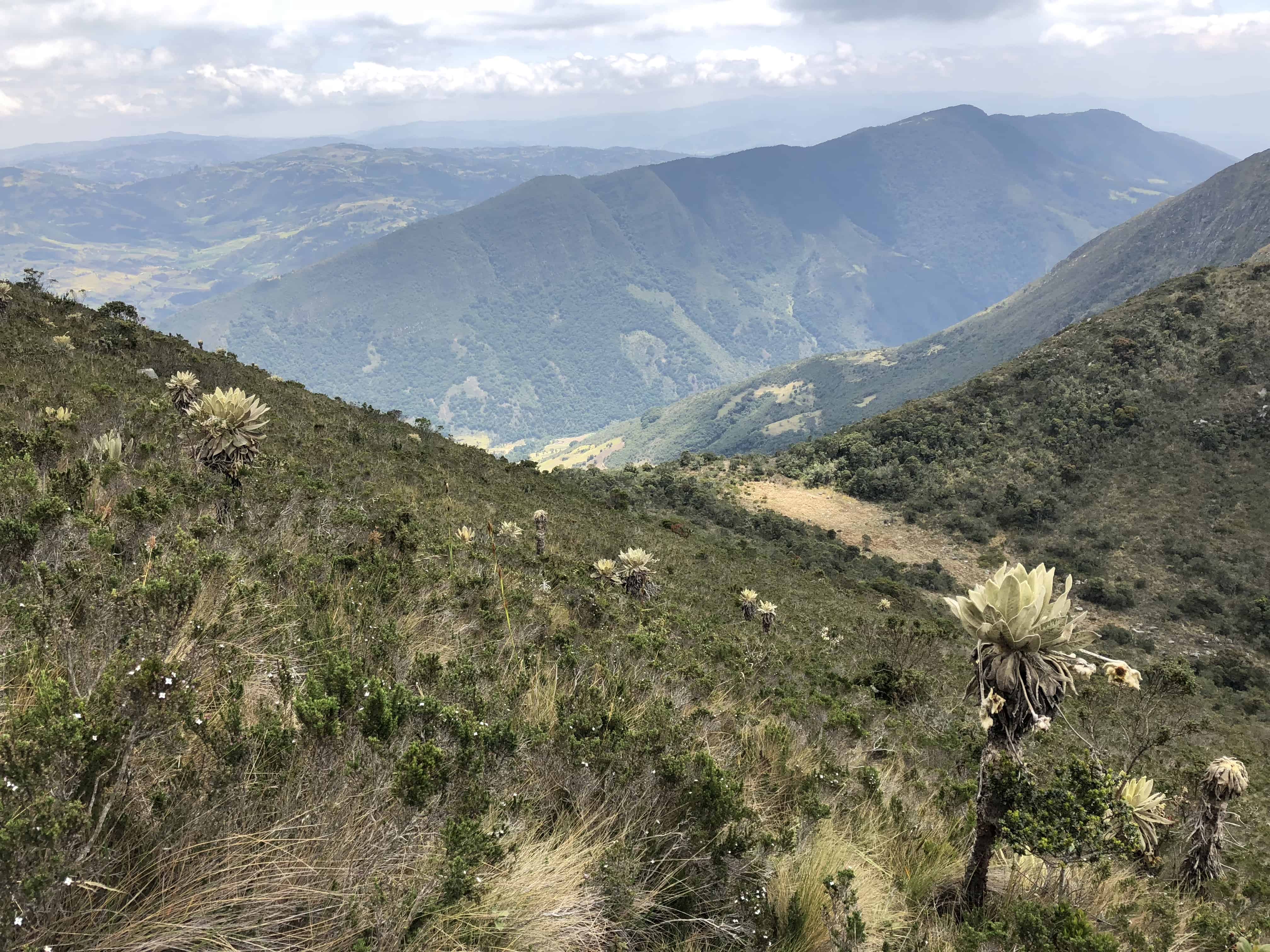 Views at Iguaque Flora and Fauna Sanctuary near Villa de Leyva, Boyacá, Colombia