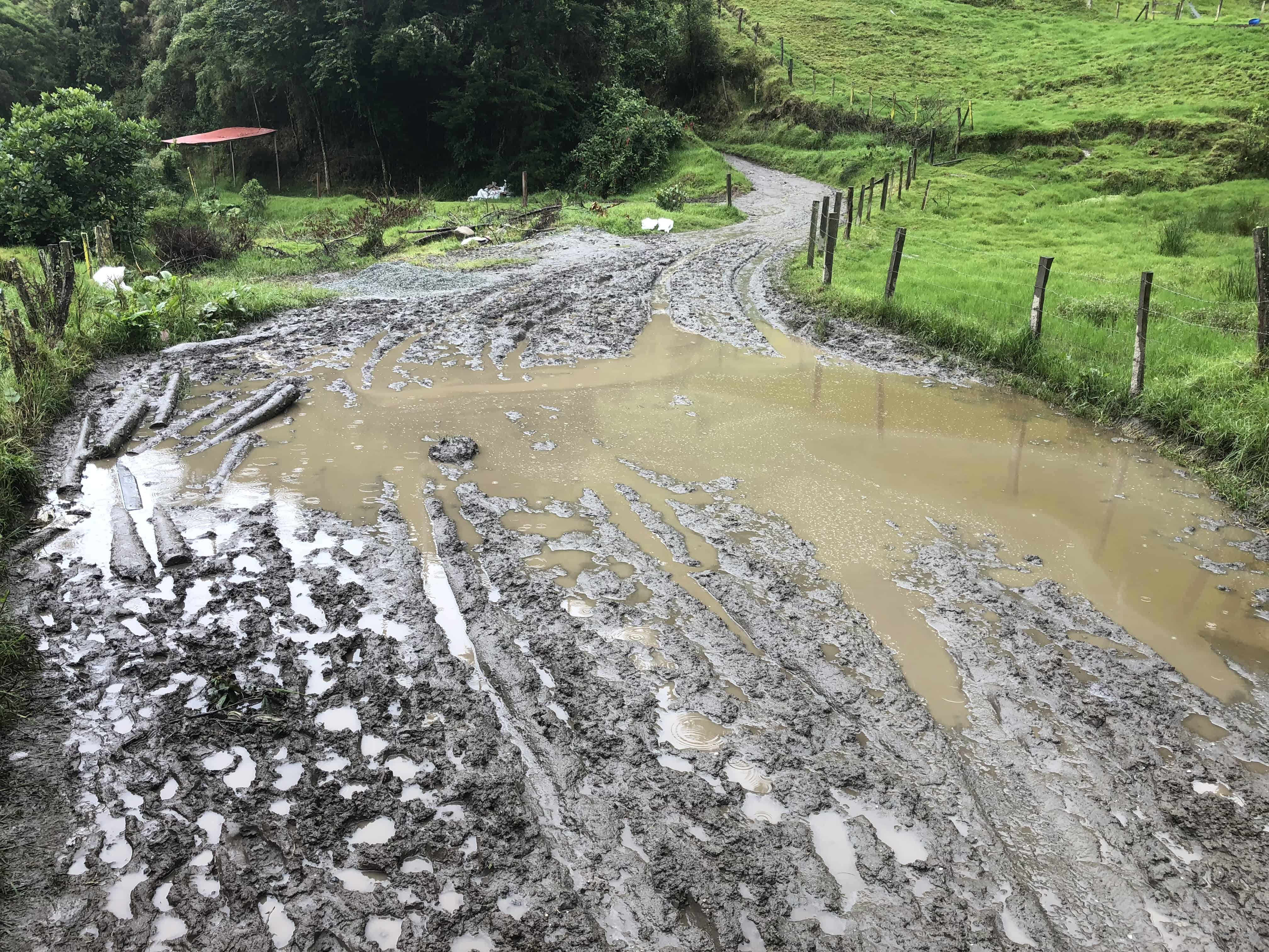 Our first obstacle at Cocora Valley in Quindío, Colombia