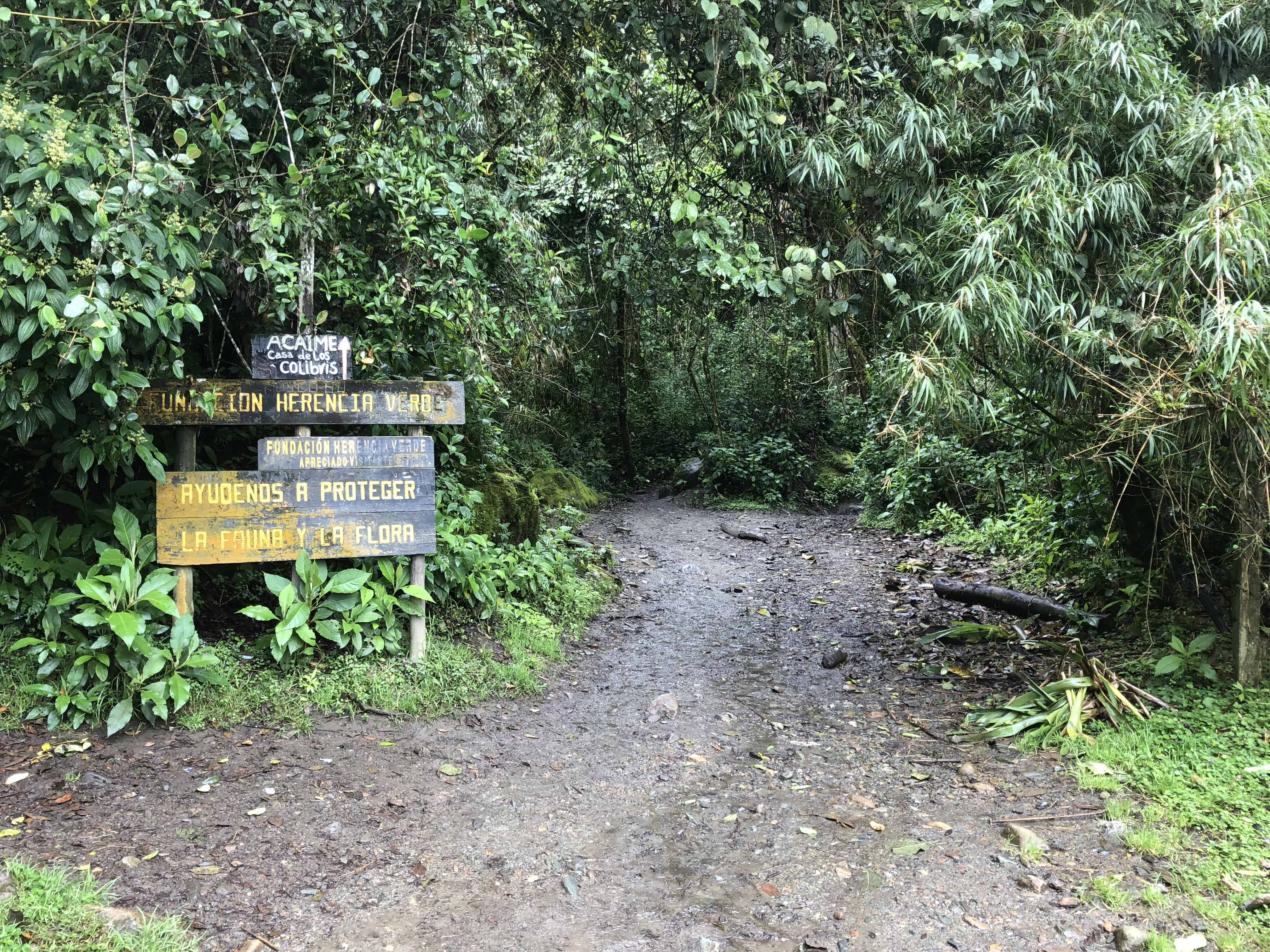 The entrance to the forest at Cocora Valley in Quindío, Colombia