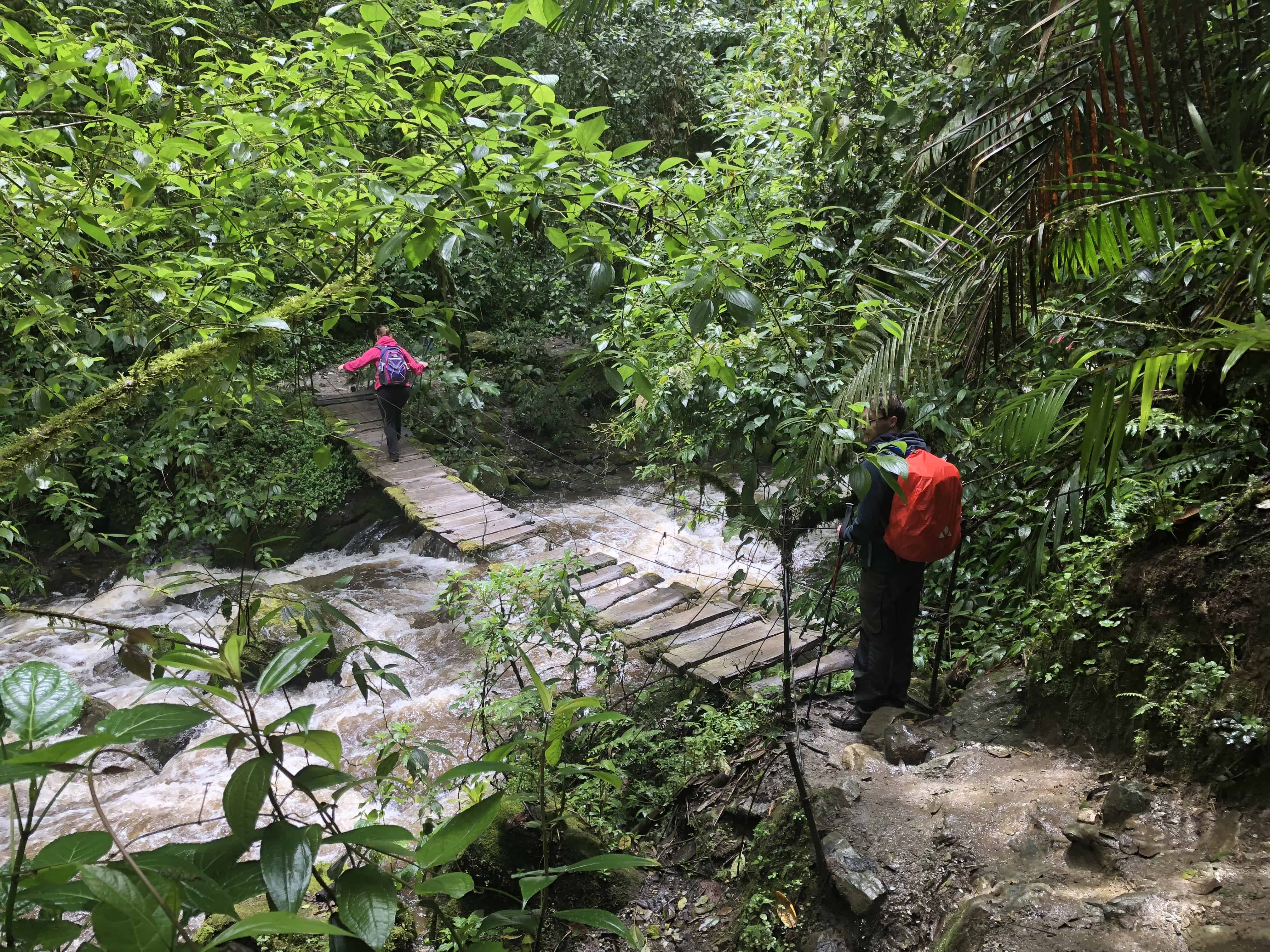 Suspension bridge at Cocora Valley in Quindío, Colombia