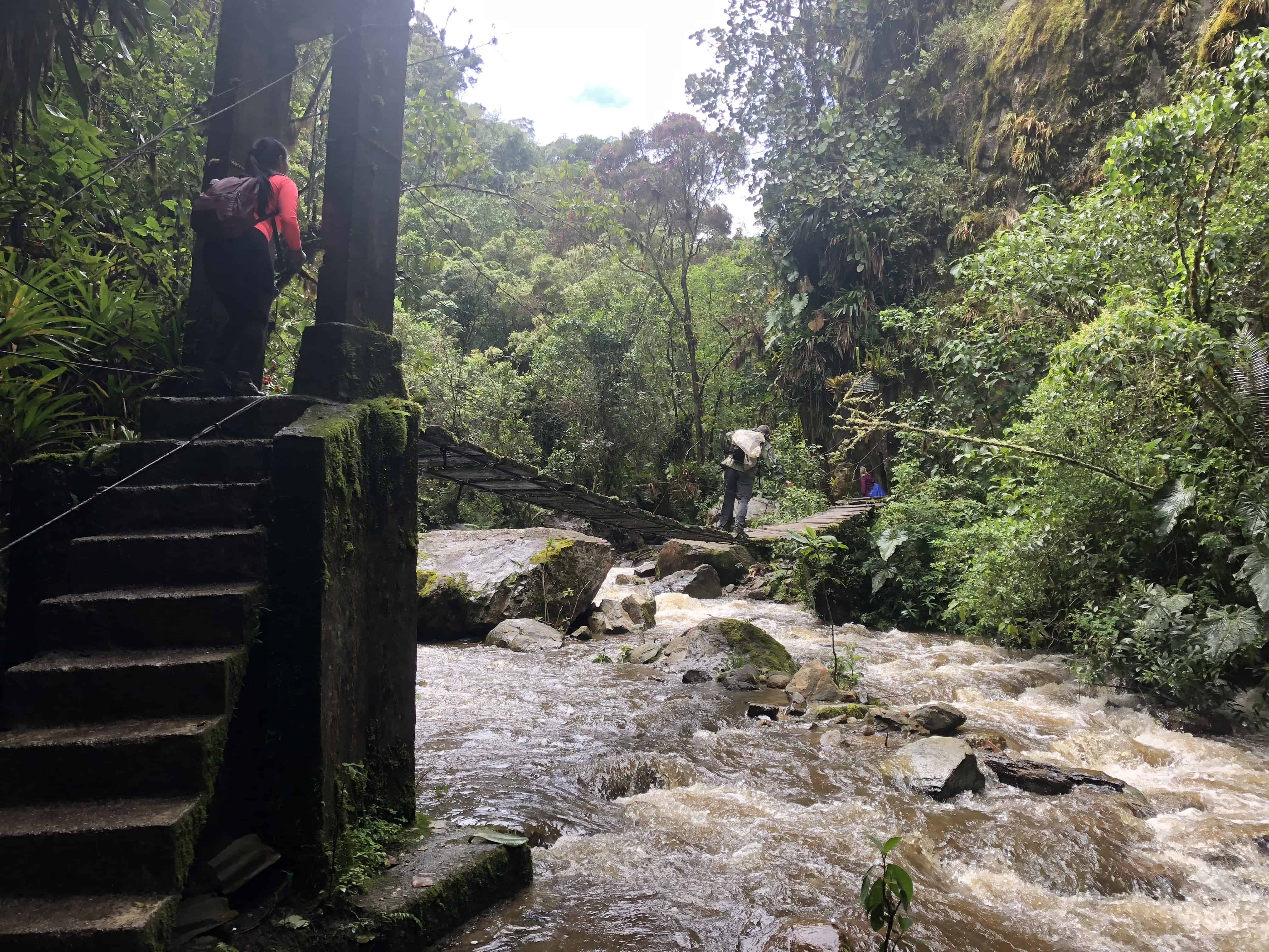 Suspension bridge at Cocora Valley in Quindío, Colombia