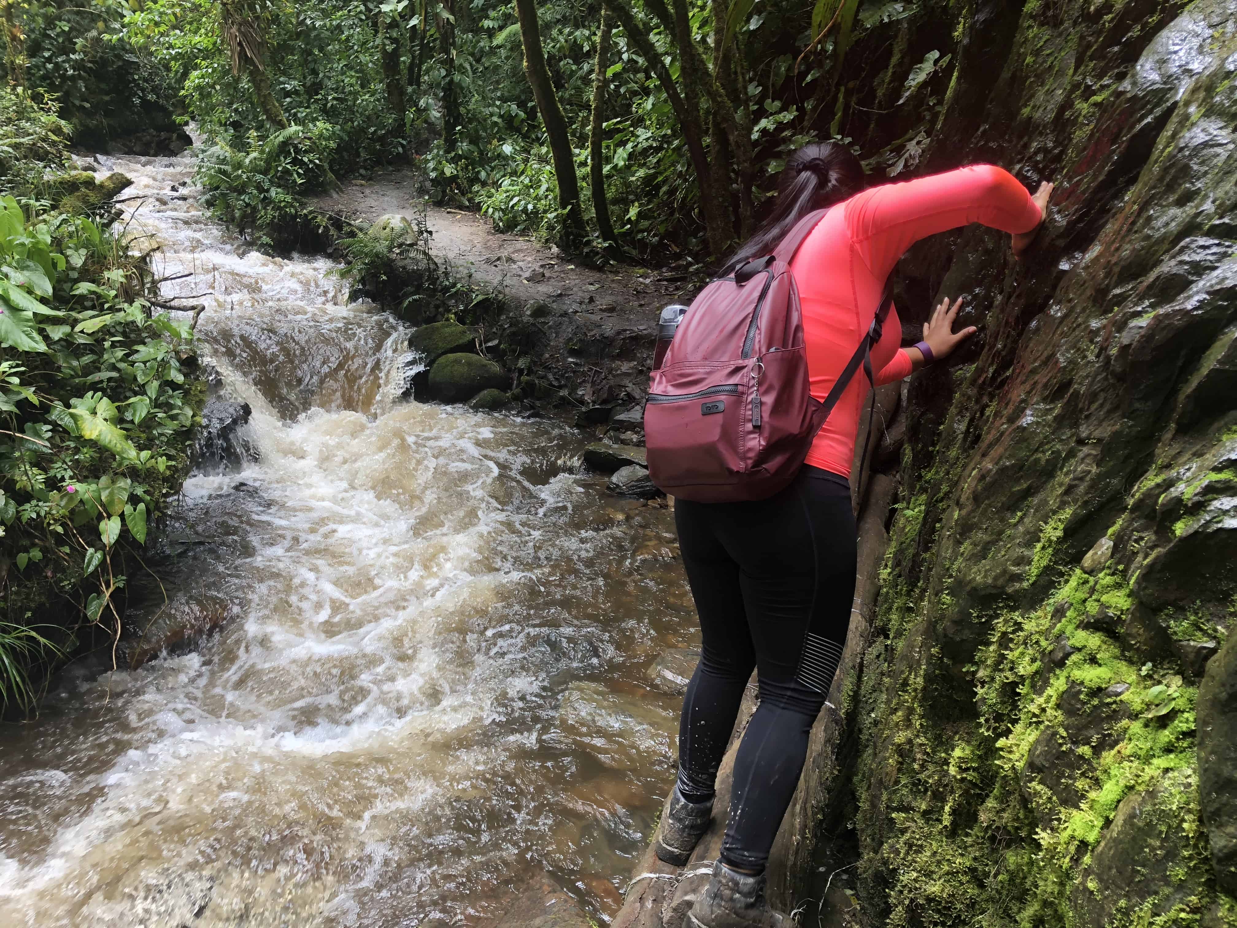 Marisol crossing over some logs at Cocora Valley in Quindío, Colombia