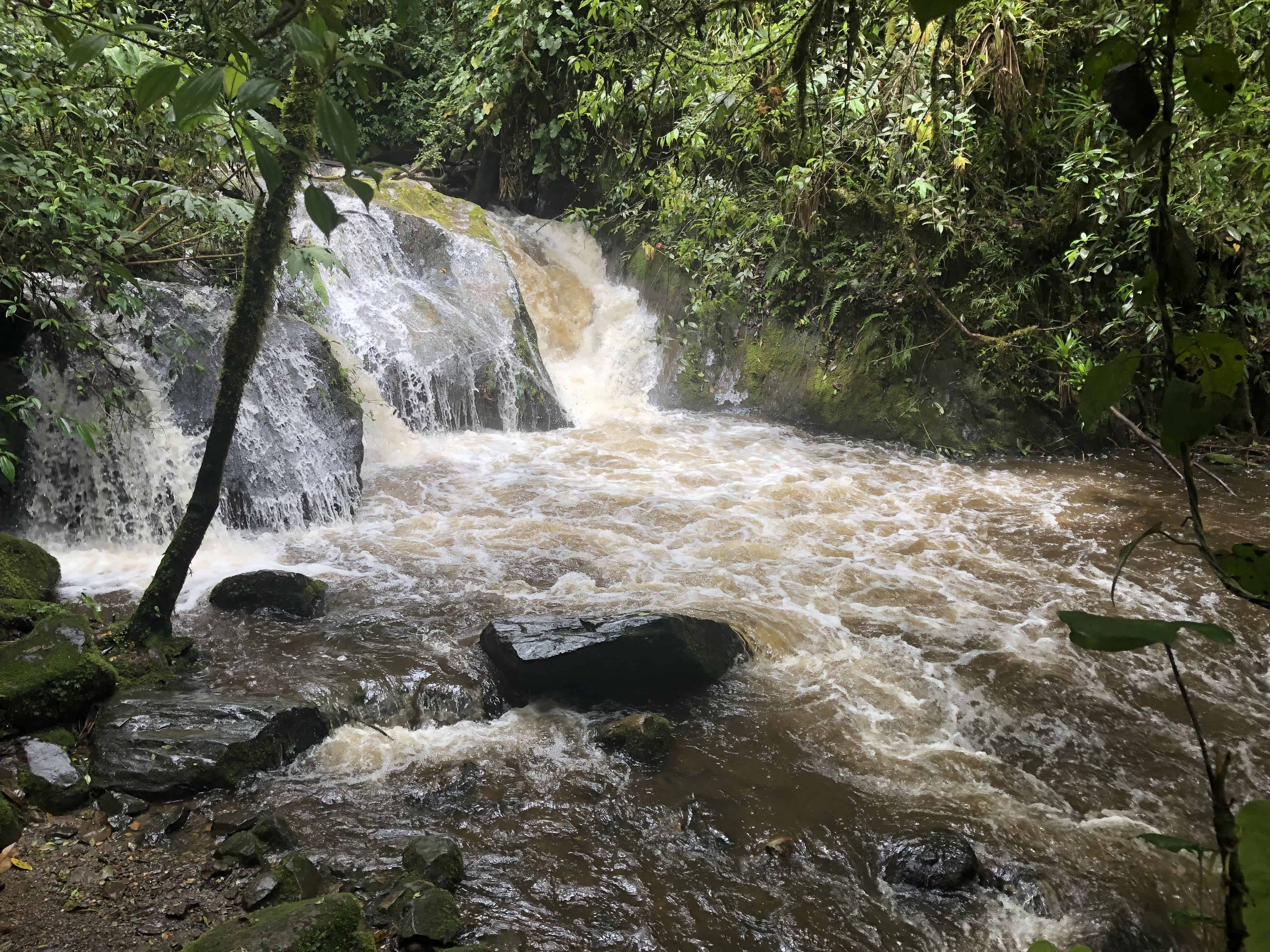 The river at Cocora Valley in Quindío, Colombia