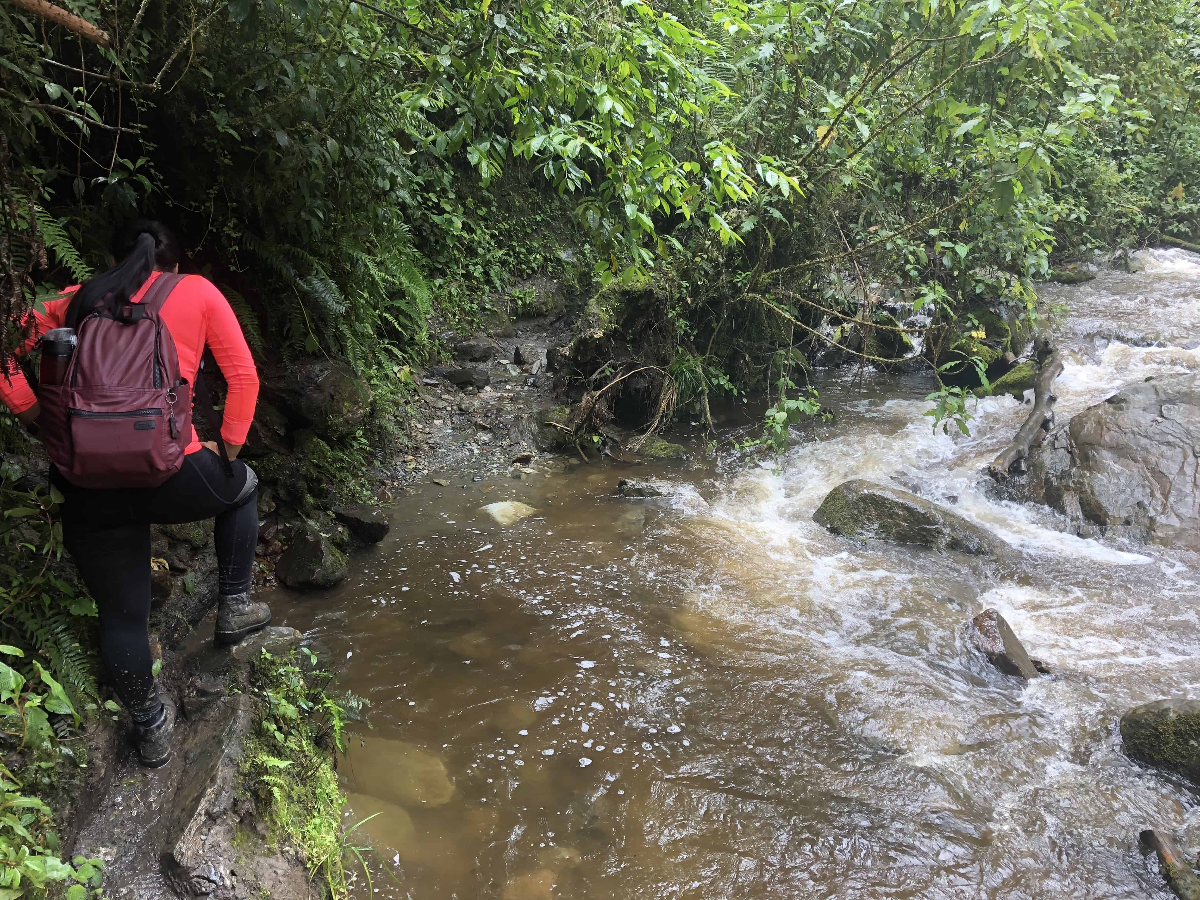 A flooded section of the trail at Cocora Valley in Quindío, Colombia