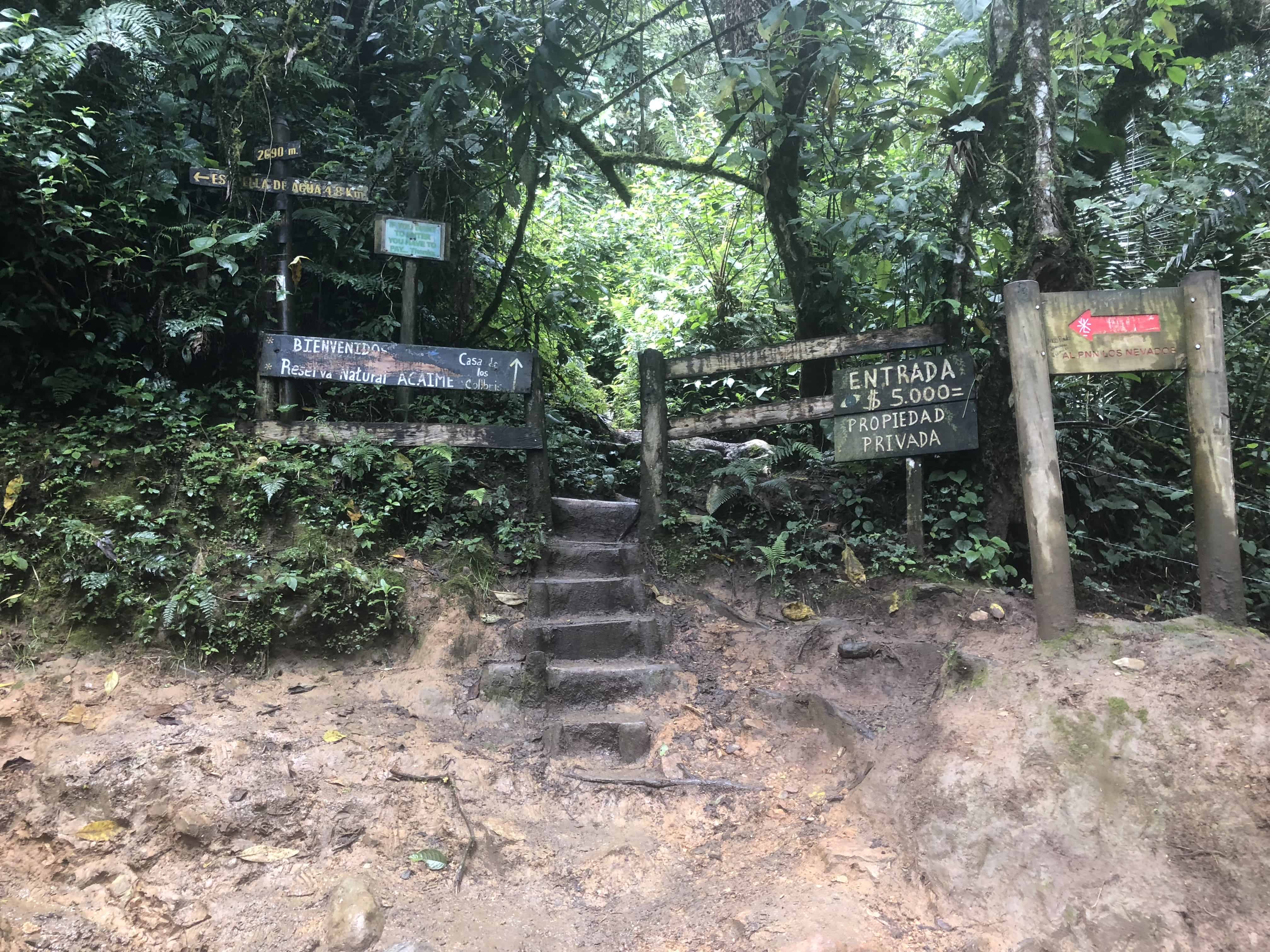 Steps up to Acaime at Cocora Valley in Quindío, Colombia