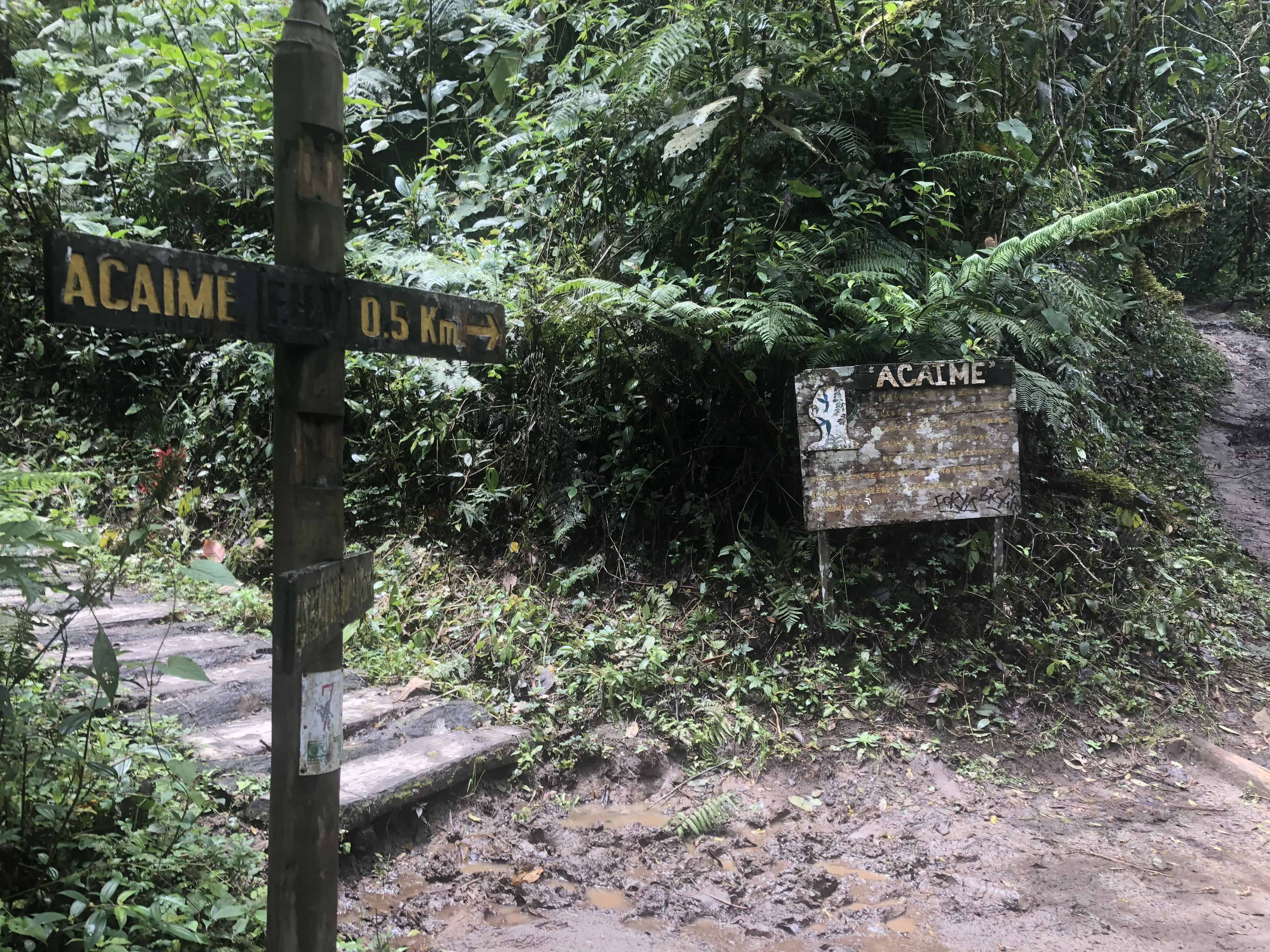 Not too far from Acaime at Cocora Valley in Quindío, Colombia