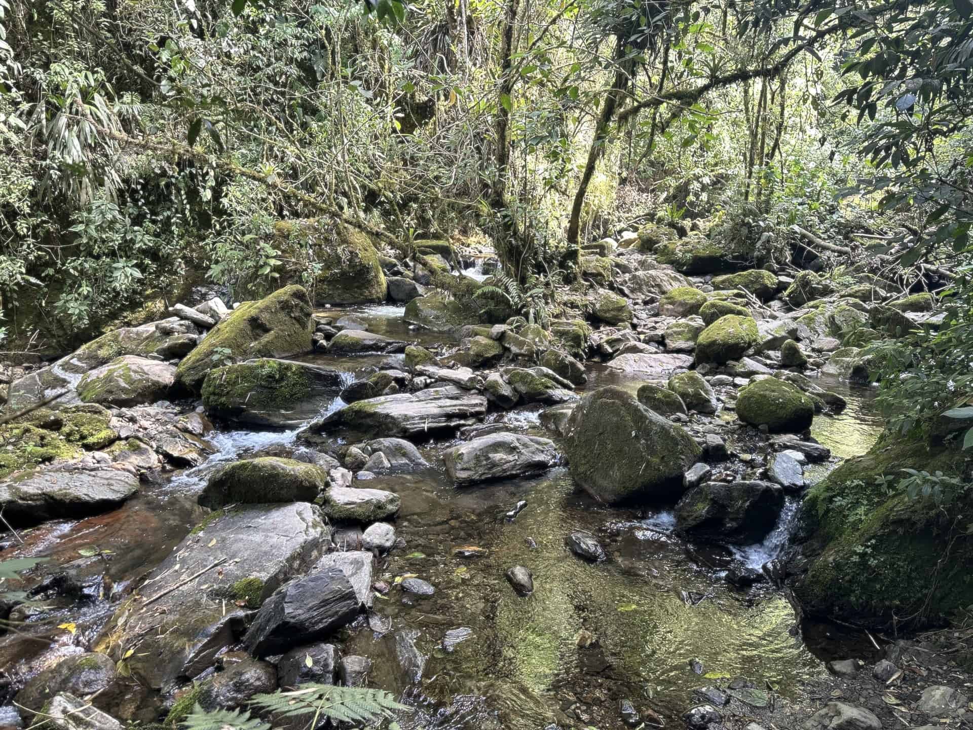 The river during dry season at Cocora Valley in Quindío, Colombia