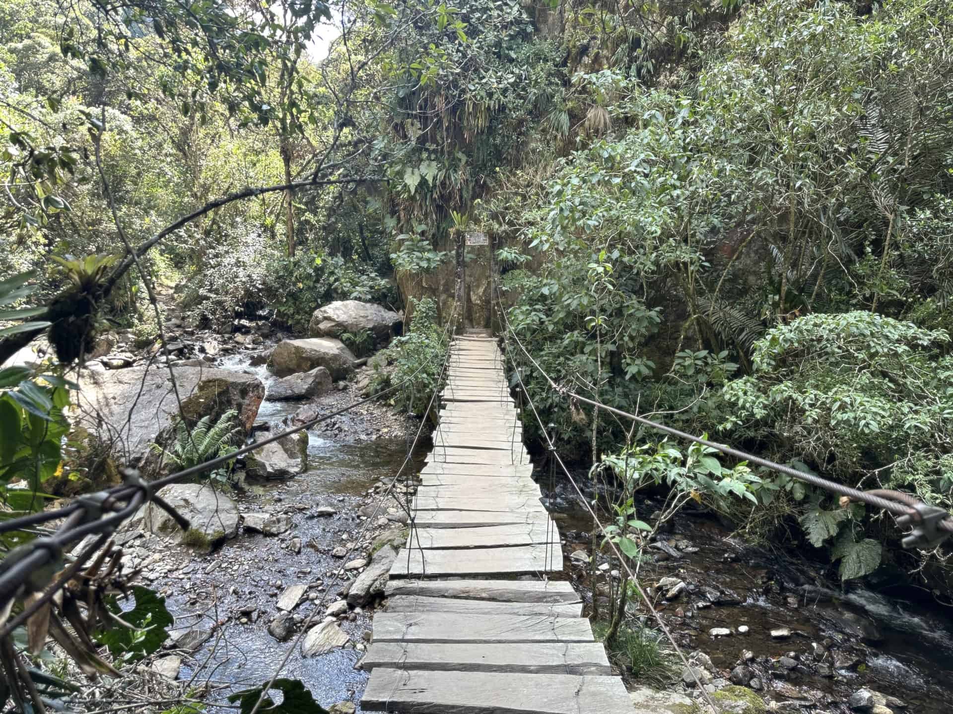 Looking across a bridge at Cocora Valley in Quindío, Colombia