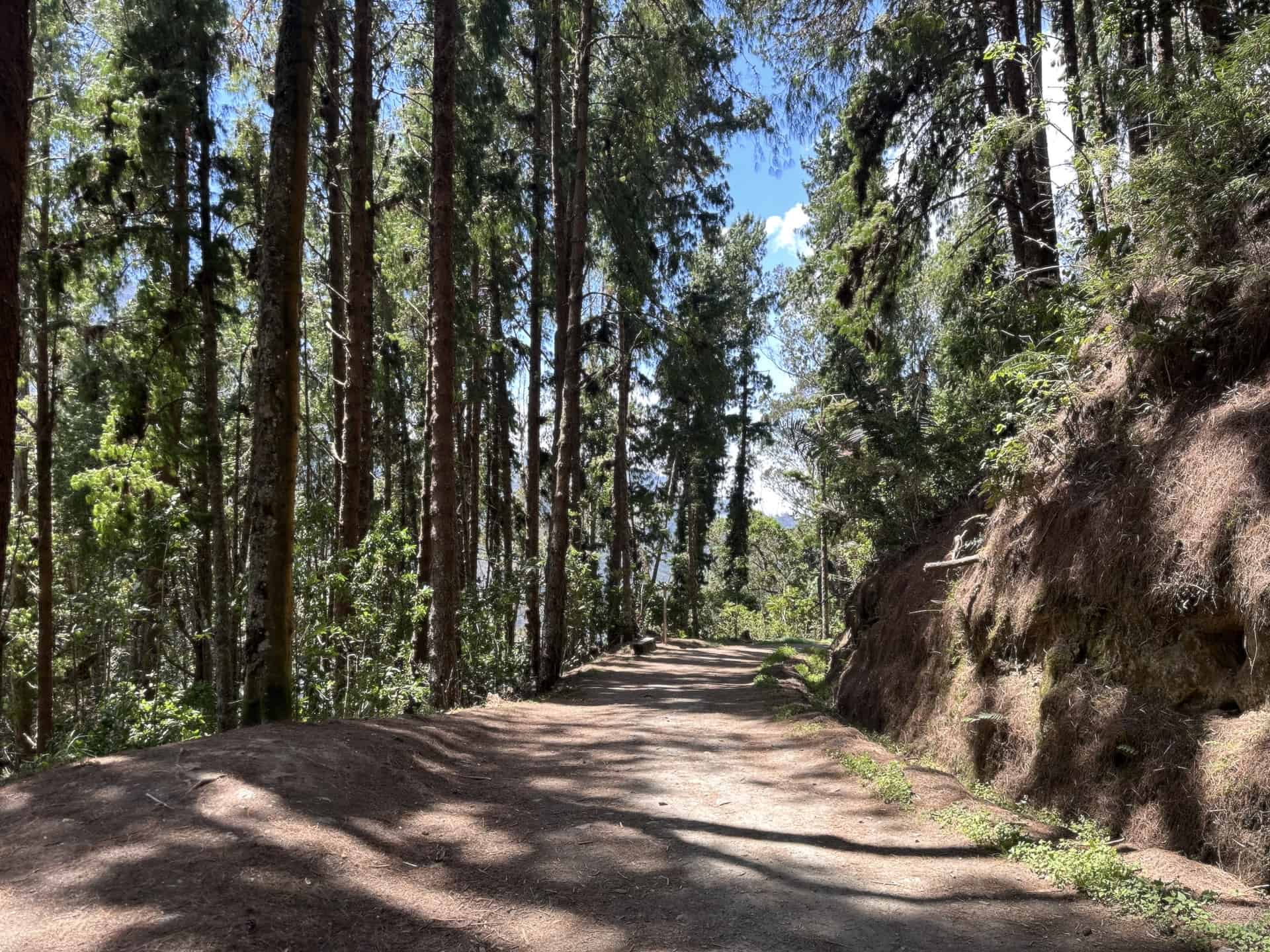 The trail leaving Finca La Montaña at Cocora Valley in Quindío, Colombia