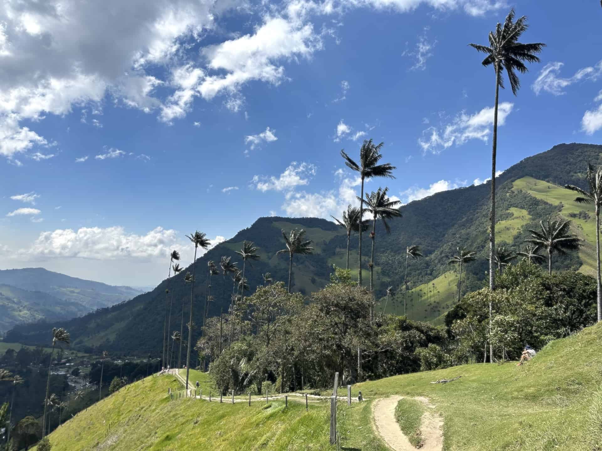 Mirador #1 at Cocora Valley in Quindío, Colombia