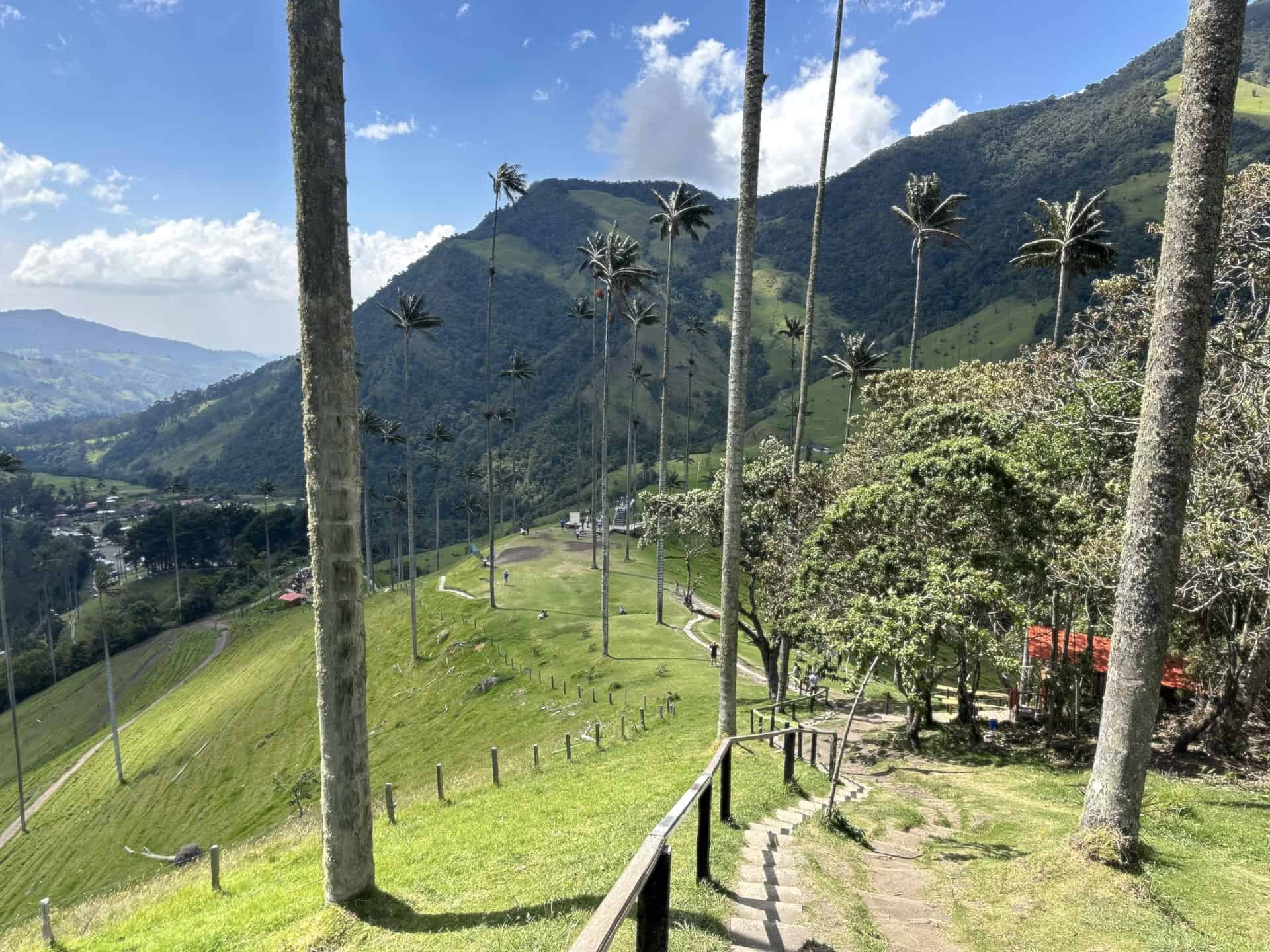 Walking down to the Palm Forest from Mirador #1 at Cocora Valley in Quindío, Colombia