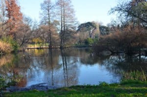 Pond at Parco Sempione in Milan, Italy