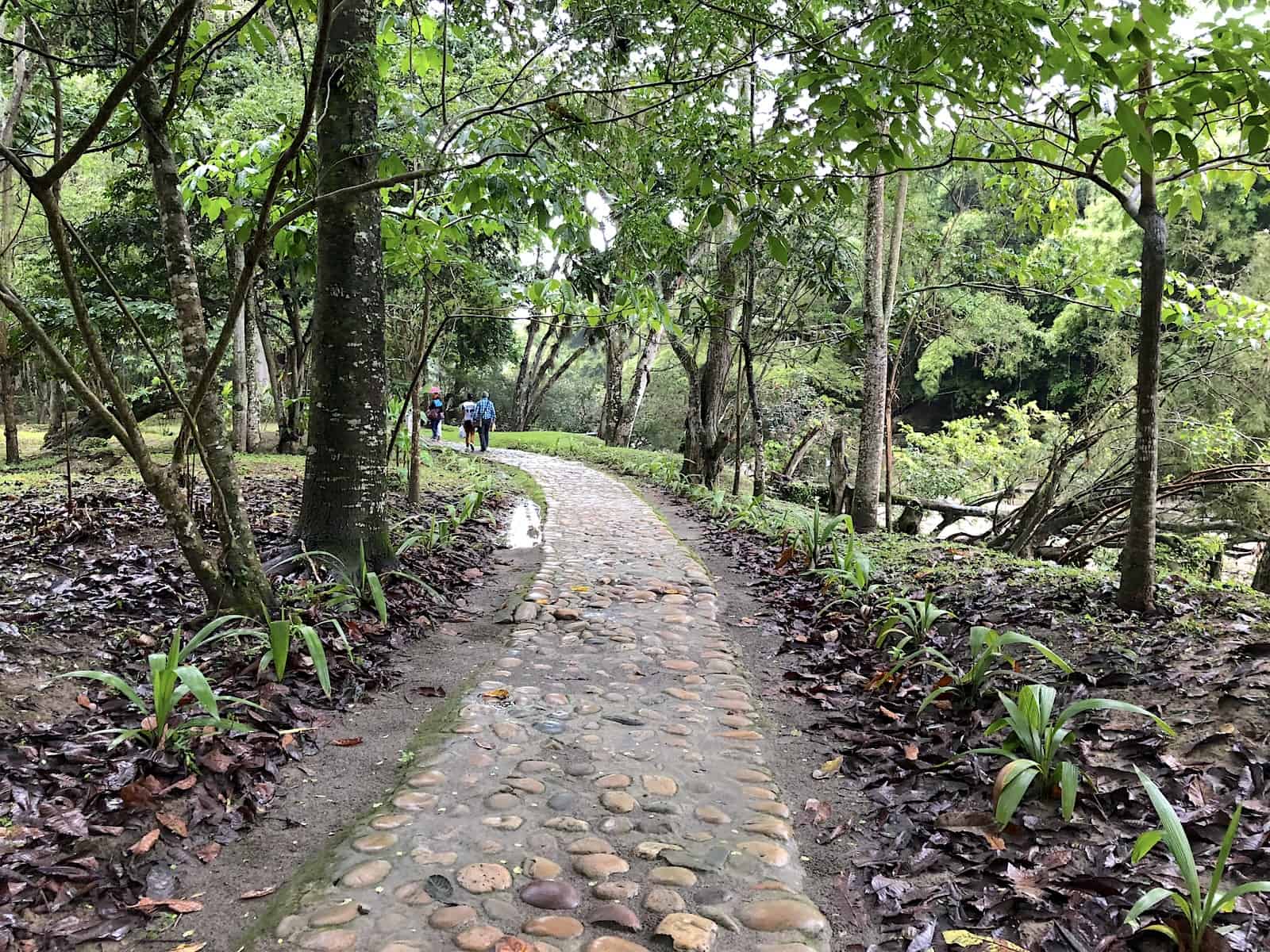 A path through El Gallineral Nature Park in San Gil, Santander, Colombia