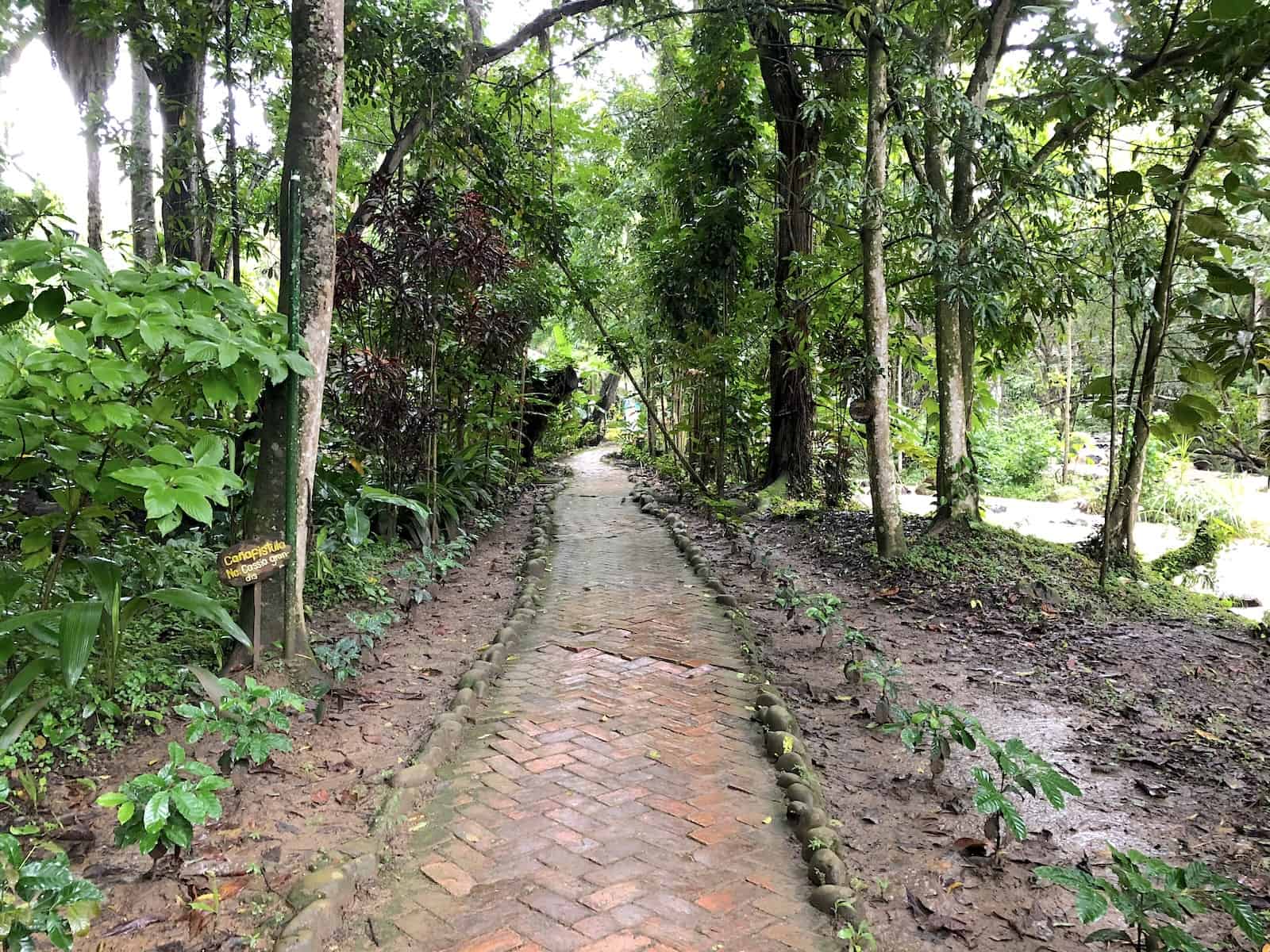 A path through El Gallineral Nature Park in San Gil, Santander, Colombia