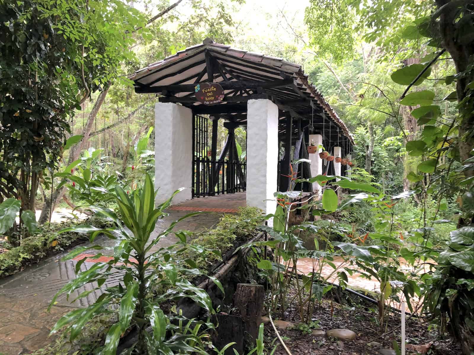 Bridge of Love at El Gallineral Nature Park