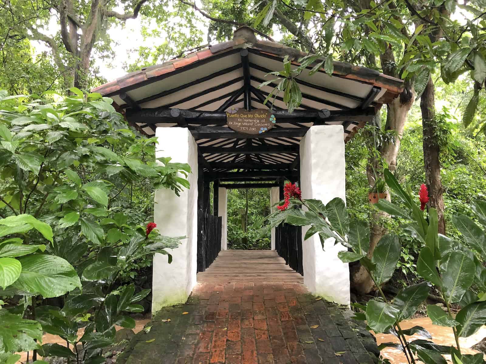 Bridge That I Don't Forget at El Gallineral Nature Park in San Gil, Santander, Colombia