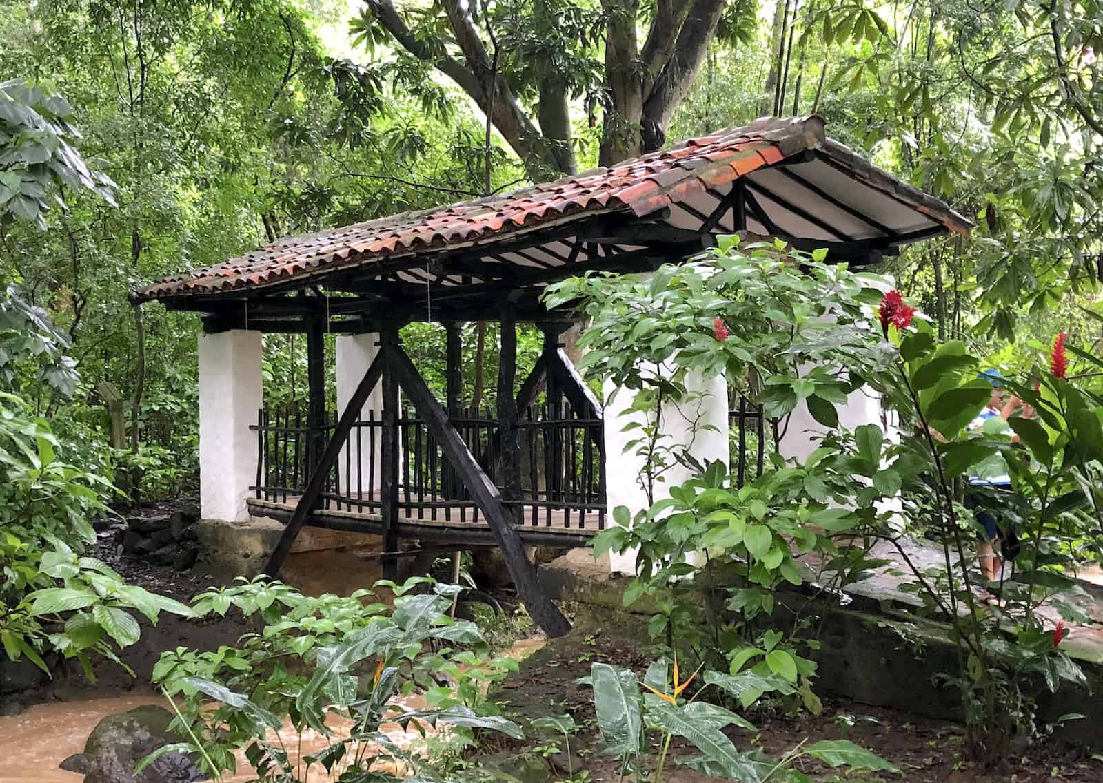 Bridge That I Don't Forget at El Gallineral Nature Park