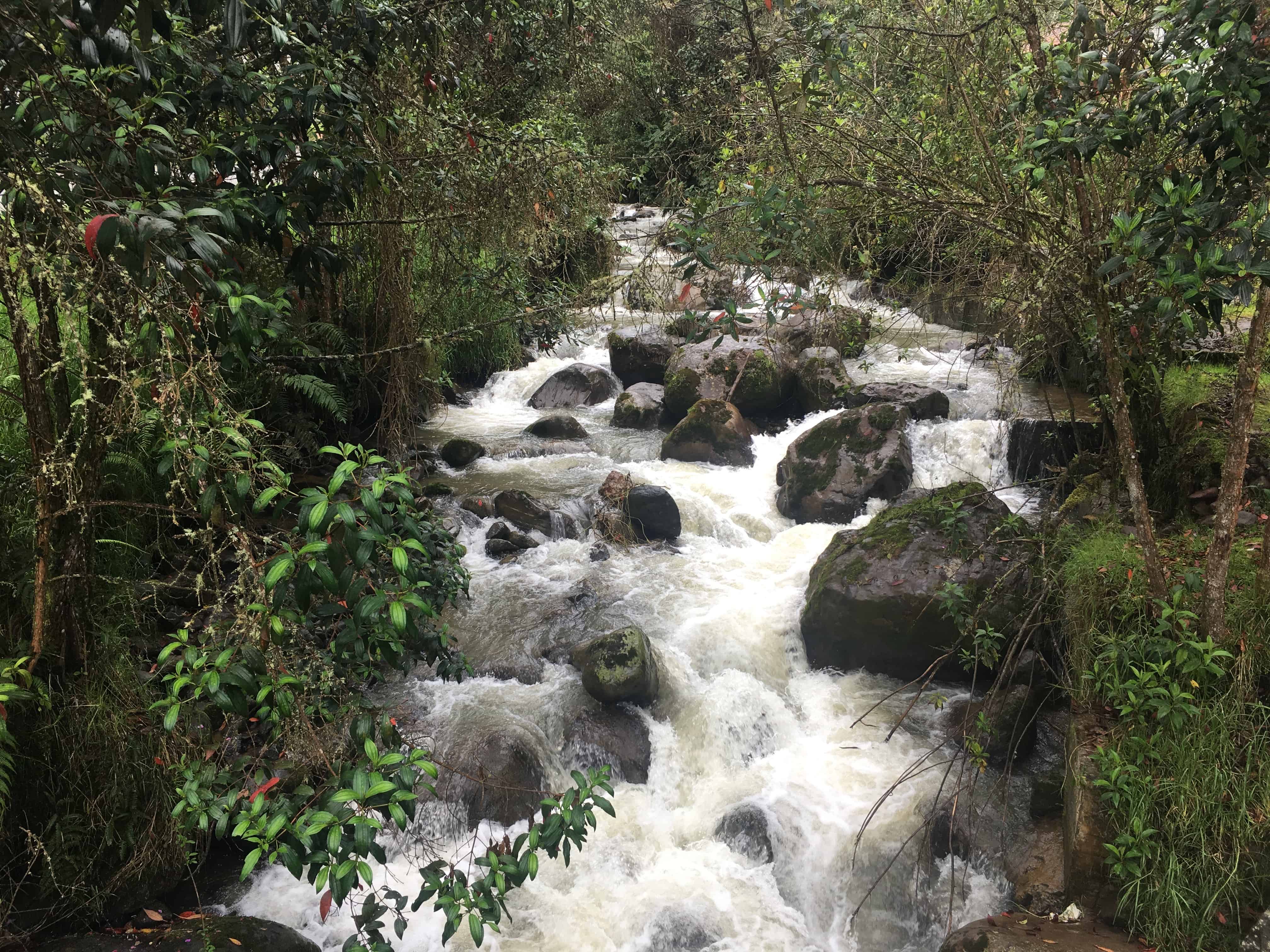 One of the rivers at Termales San Vicente in Santa Rosa de Cabal, Risaralda, Colombia
