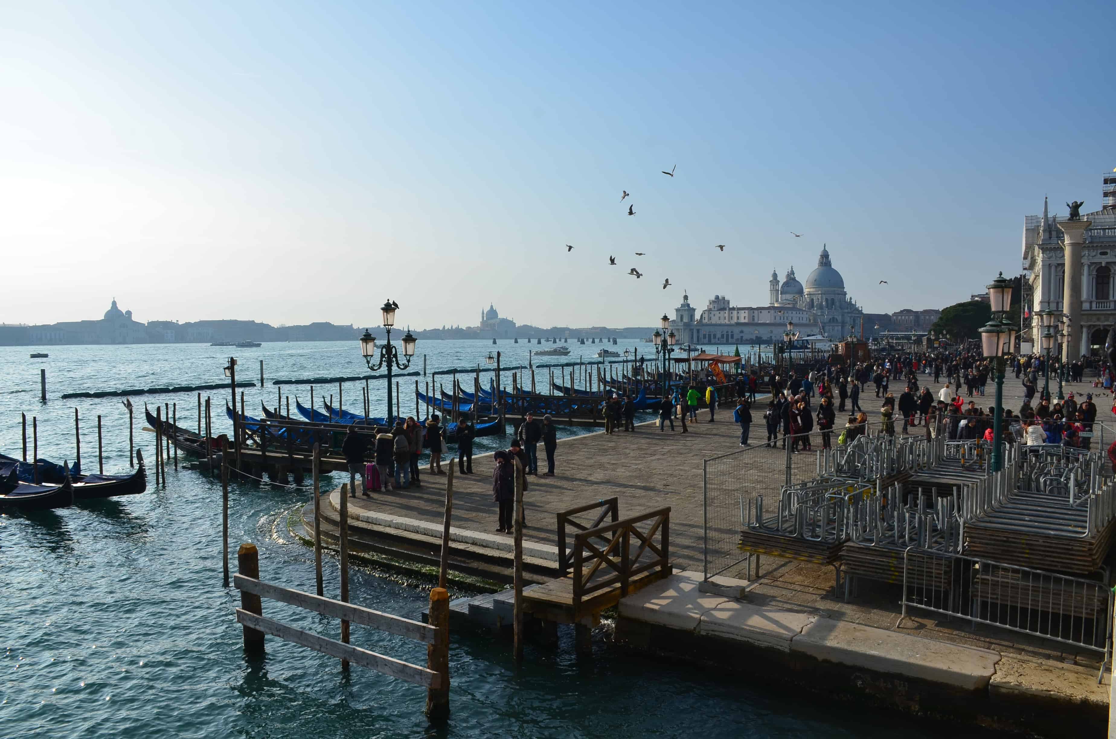 Gondolas lined up along the Piazzetta di San Marco in Venice, Italy